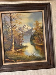 Cantrell Framed Realism Oil Painting Set Landscape Barn Birds Mountains Canvas