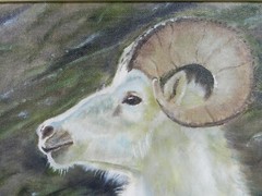 M.JANE DOYLE SIGNED ORIG ART OIL/CAN PAINTING“PRINCE ALBERT“(MOUNTAIN RAM GOAT)