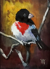 YARY DLUHOS Grosbeak Rose Breasted Bird Nature Animal Original Art Oil Painting