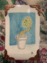 Original aceos watercolor painting succulent echeveria, 4 X 2.5 inches, signed