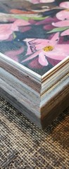 Hand Oil Painting On Canvas American Robin Nestled With Blooming Dogwood Flowers