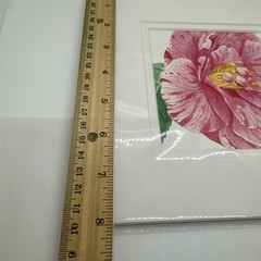 Liz Hutnick Watercolor Painting Pink Camellia 2006 Botanical Art Signed Matted