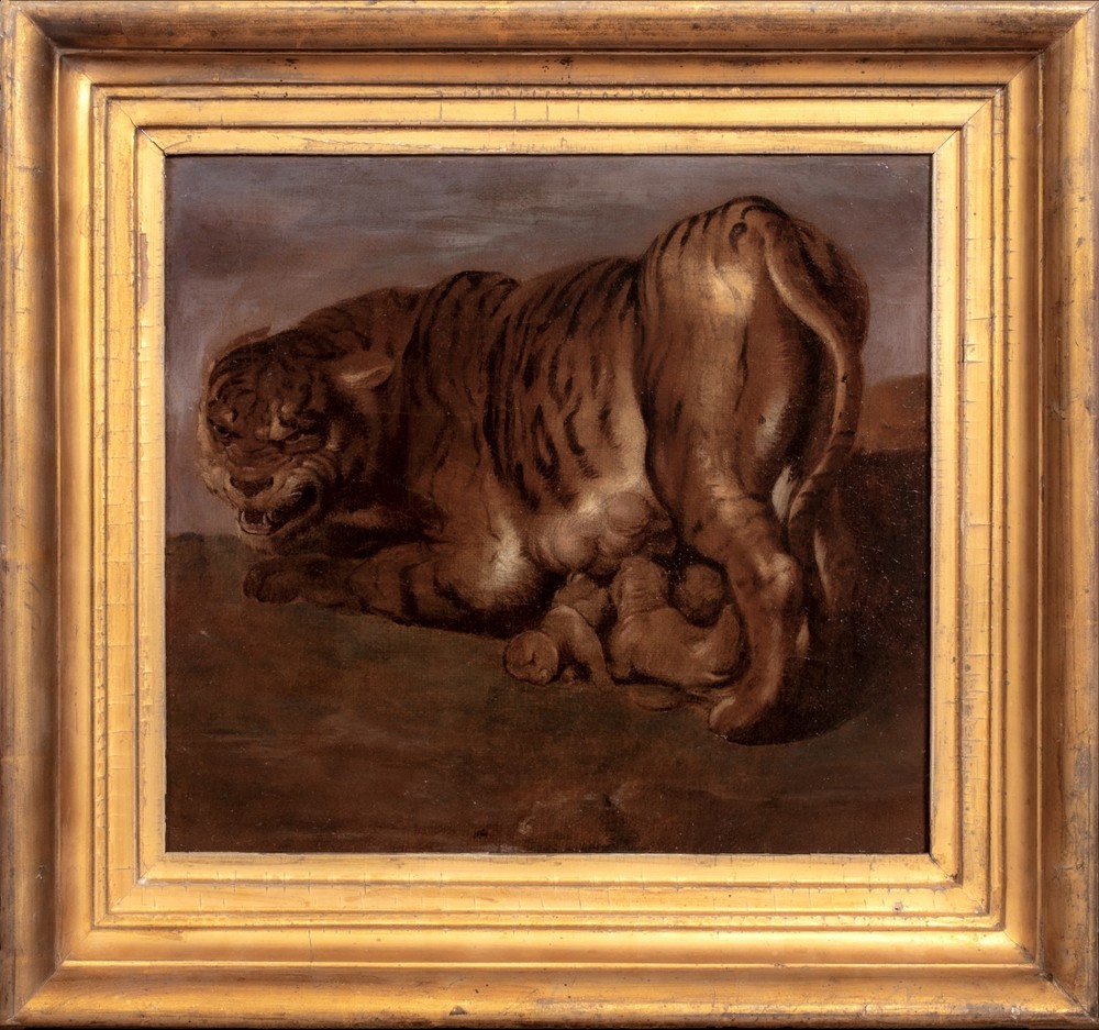 17th Century Flemish Old Master Tiger and Cubs – PETER PAUL RUBENS (1577-1640)