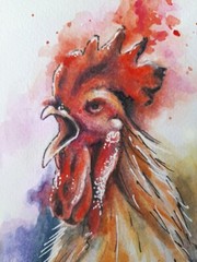 Original Painting Rooster Country Bird Watercolor Modern Art by Ginna Paola