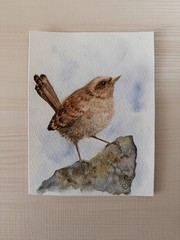 Original Watercolor Painting Birds Painting Bird Card Set of 6