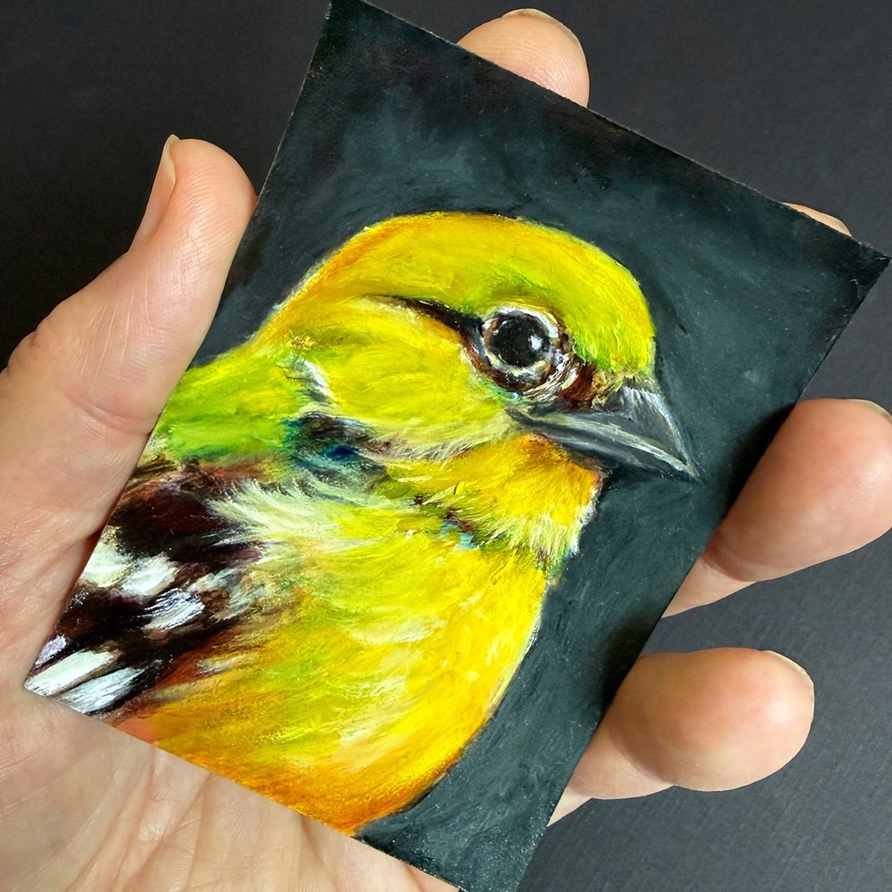 ACEO Original Oil Painting Bird Portrait OOAK Miniature Art Sol