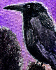 Raven Black Bird Wildlife Art Original Acrylic India Ink Canvas 8×10 inch PRINT