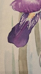 Original Watercolor Iris Painting Signed Margaret Selleck Framed Floral Art