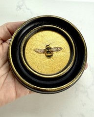 Original Bee Miniature Realism Oil Painting Small Framed Gold Leaf Art