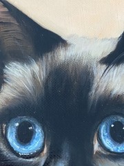 Nancy Carlyle Ca. Mid Century Siamese Cat Kitten Modern Portrait Animal Painting