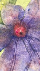 Priscilla TREACY Original Watercolor Painting “Clematis” 2012 Purple Flower 4”