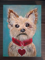 CUTE YORKIE DOG CANVAS PAINTING RED HEART COLLAR TURQUOISE PET PORTRAIT ART