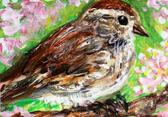 ORIGINAL ACEO BIRD Painting Brown SPARROW Finch Spring Tree Nature Bird ATC ART