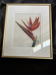 Vintage Chinese Brush Painting By Kuei Dorman