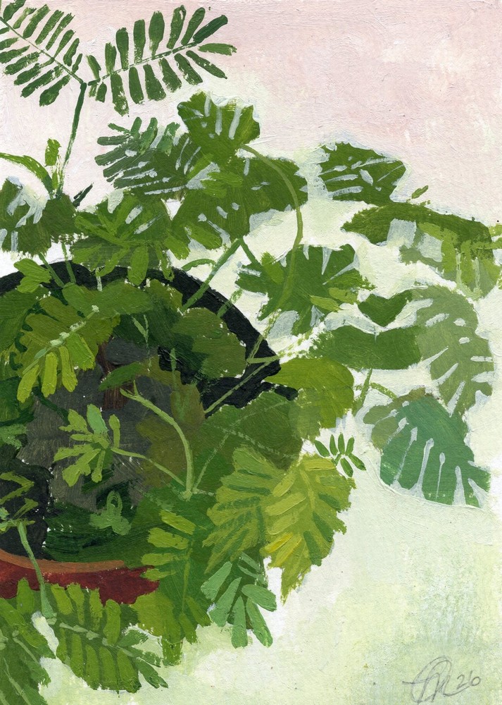 Mimosa Pudica 5×7 inch Original Acrylic Painting by Cristal Ortiz