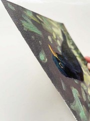 Bird Blackbird Oil Painting 5×7 inches Signed by the artist
