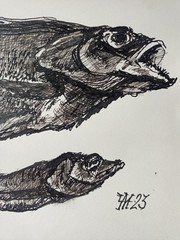 Fish Graphics Painting Original Art Expression Paper Ink Pen 7.4 x 10.6 in