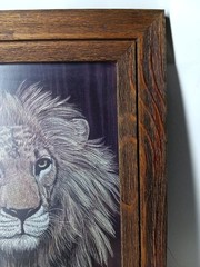 HTF Vintage Marjorie Brice Lion Print Signed Framed 15.5×18.5 Scratchboard Style