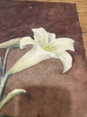 Antique Watercolor Painting on Paper 30s Brazilian Edwiges Jacobusich- Flower