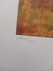 SoccerAmerica’s Team“ ORIGINAL PAINTING Soccer With Signature ALDO Luong