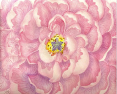 PAINTING WATERCOLOR 11X14 AND DOUBLE MAT 16X20 FLOWER PEONY PINK PURPLE LAVENDER