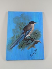 Azure Winged Magpie 9inx12inx0.5in Acrylic Painting