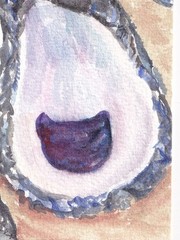 Original ACEO Oyster & Seashell Watercolor Painting – Mini Ocean Art