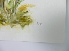 Ingeborg Jakob Wilhelmshaven Watercolour Hand Signed Dated 13×18.5cm To-5020