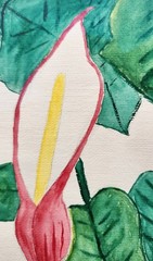 Matching Pair 1949 Original Watercolor Botanicals – Shell Ginger & Calla…