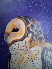Barn Owl And The Moon Original Art 9×12 Signed CoA