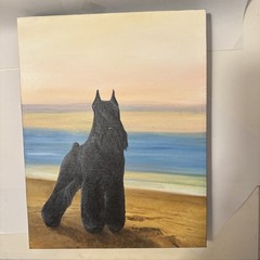 Black Miniature Schnauzer Painting by Connie Krohn 14″x11″x1.5″ Acrylic/Canvas
