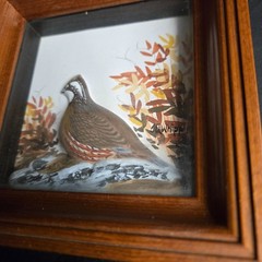 Joseph Quinn Whipple Abercrombie & Fitch 3D SHADOWBOX Pair Birds Woodcock Quail