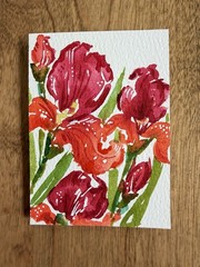 ACEO Original iris flowers, abstract botanical illustration floral by KC_ART_ME