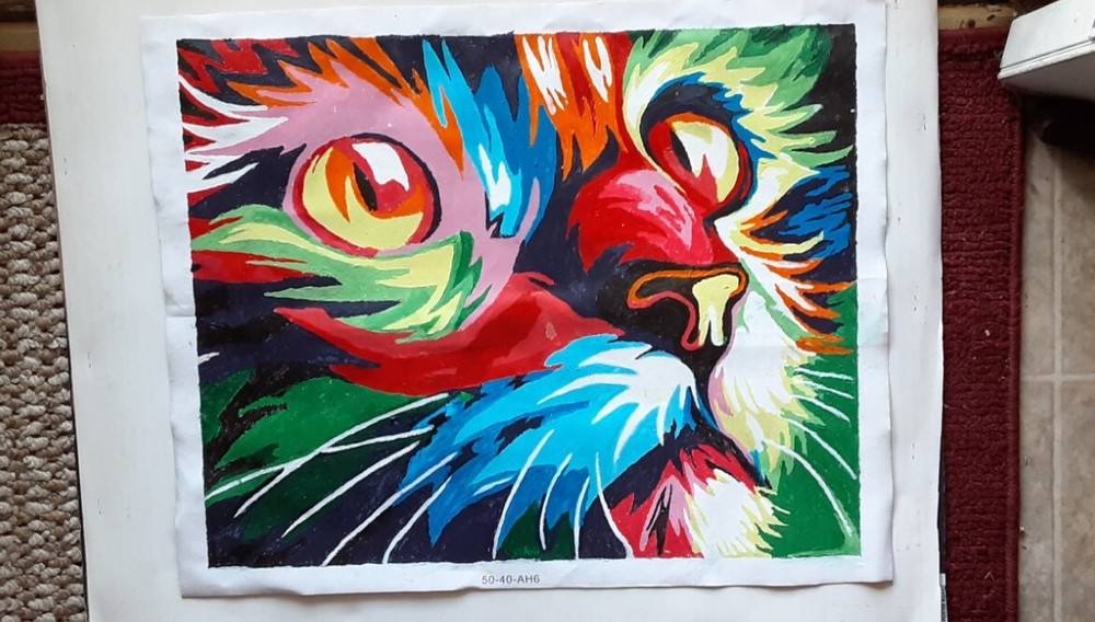 Cat Hand Painted By Number Oil Painting on Canvas Completed Unframed 16 x 20