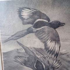 Joseph Imhof Taos NM Signed Lithograph Two Magpies 1932 Seasons Greetings