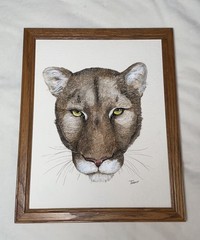 Framed Original Chalk Pastel Cougar Drawing Signed By TRENT 5 1/4” X 12 1/4”