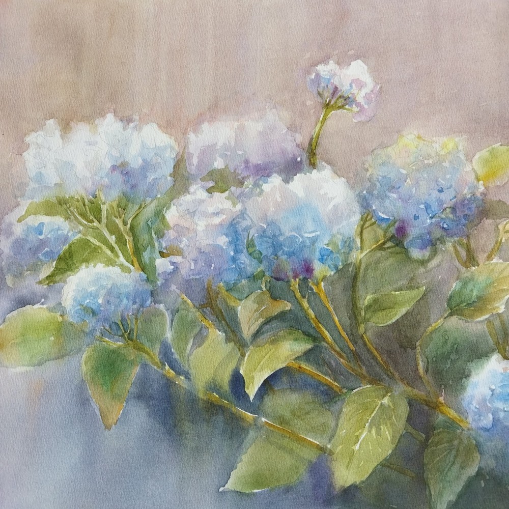 Hydrangeas Watercolor Painting Original Floral Art Blue Flowers Botanical Art