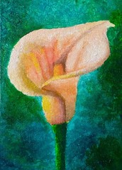 Brigraphics, Canvas Panel, Acrylic Paint, Flowers Peach Lily 5in x 7in