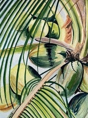COCONUT PALM | botanical Painting Tropical Watercolor art Kristi C Jones Tree