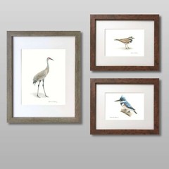 Sandhill Crane 01 – 8″x10″ Giclee Print of Hand-Painted Watercolor, Unframed