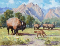 TOM HAAS painting ‚Summer Range‘ oil 11″x14″ Wyoming Grand Tetons buffalo