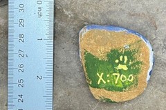 HAND PAINTED RIVER STONE ART Fox “ Be Kind “ by Yellow Paw Collectible Rocks