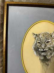 1978 „Portrait Of A Bobcat“ Mixed Media Painting – Signed And Framed