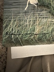 Original Coastal Marsh Painting is a signed artwork by Edmonson.