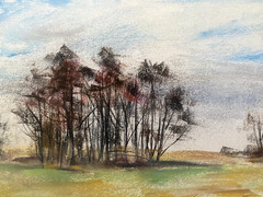 Franz Ehmke 1928 – 2018 Berlin Pastel Trees Group In Field In Autumn