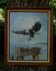 Eagle in Flight Feeding Her Young, Magnificent Original Oil, Ginger Davis. MINT