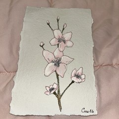 Cherry Blossom Flower Watercolor Original Painting