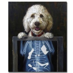 Inside Story by Lucia Heffernan Gallery-Wrapped Canvas Giclee (24 in x 20 in)