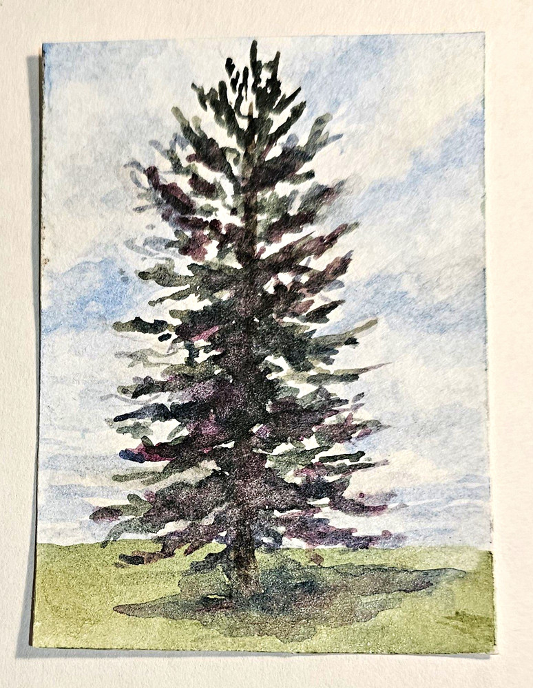ACEO Original Pine Tree Watercolor Painting by artist Theresa Twohig