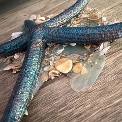 Original ACEO Mini Starfish/ Shell Resin #resin Mini-Shell ocean